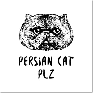 Persian Cat Plz Posters and Art